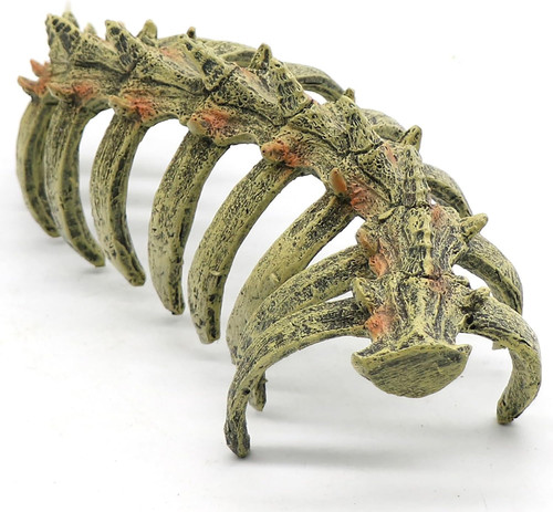 Aquarium skull animal - aquarium,