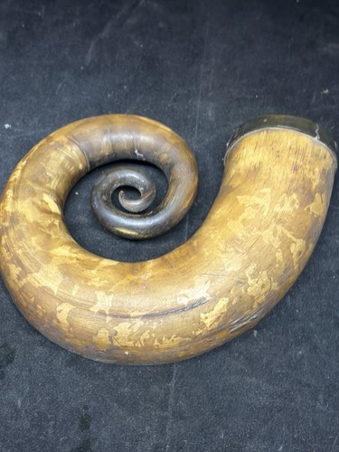 Antique scottish horn snuff - scottish,