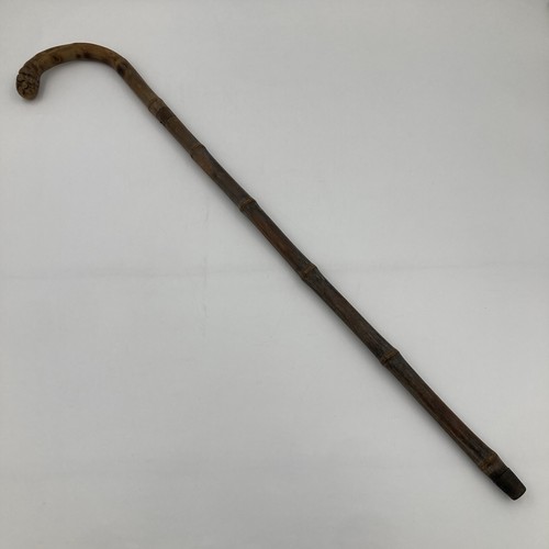 Walking stick wooden crook - walking,