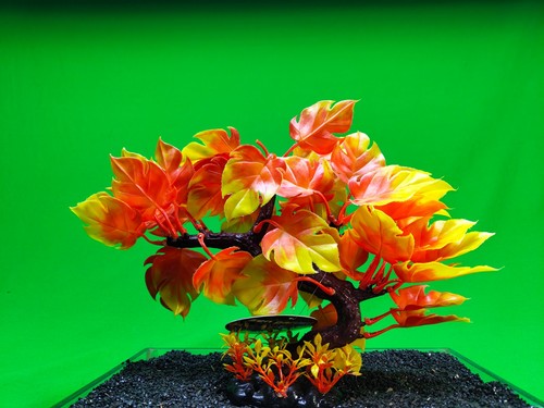 Aquarium tree ornament fish - tree,