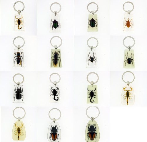 Real bugs resin keyrings - real,