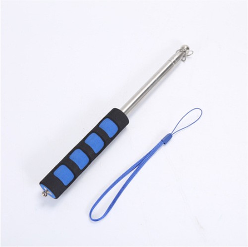 Extendable flagpole stainless - extendable,