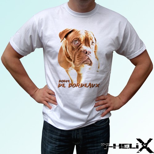 Dogue bordeaux dog t - dog,