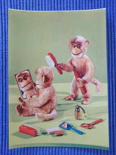 Old postcard monkeys fur - postcard,