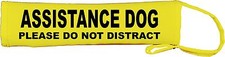 Assistance Dog Please Do Not