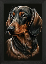 dachshund puppy portrait