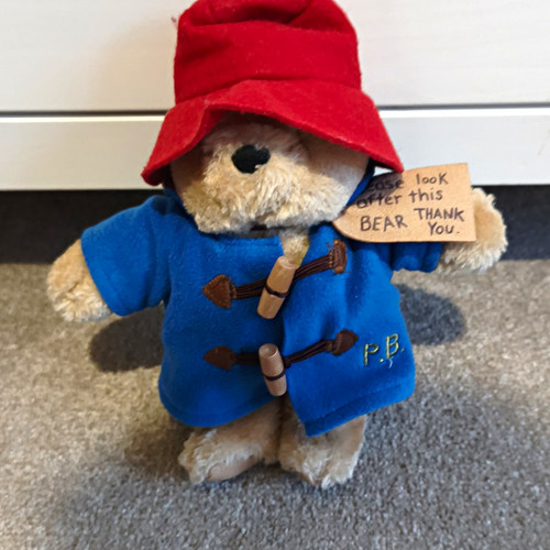 Paddington bear teddy plush - paddington,