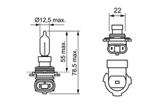 ✅Fits BOSCH 1 987 302 026