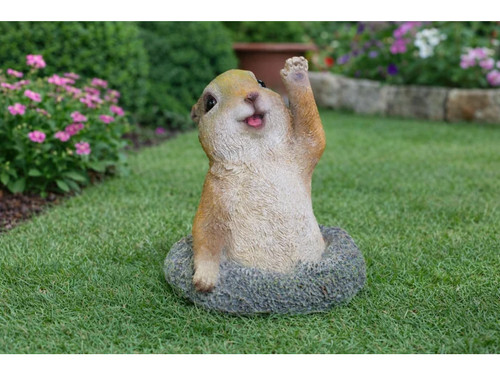 Meerkat