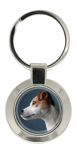 Parson russell terrier key - russell,