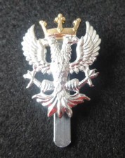 British Army Staybrite Cap Badge - The Mercian Brigade and Mercian Volunteers