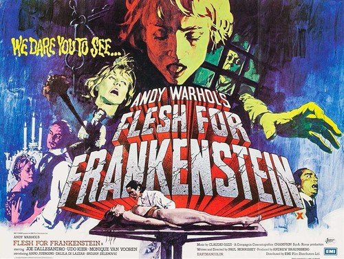 Andy warhol flesh for - flesh,