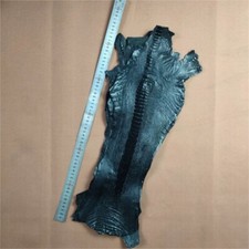 Genuine Ostrich Leather Real