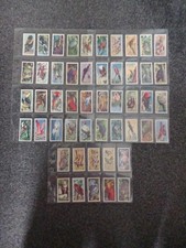 Vintage 1961 Brooke Bond Tea
