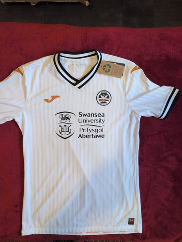 Official swansea city 2021 - swansea, 2021/22