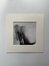Vintage 1970s French Male Nude