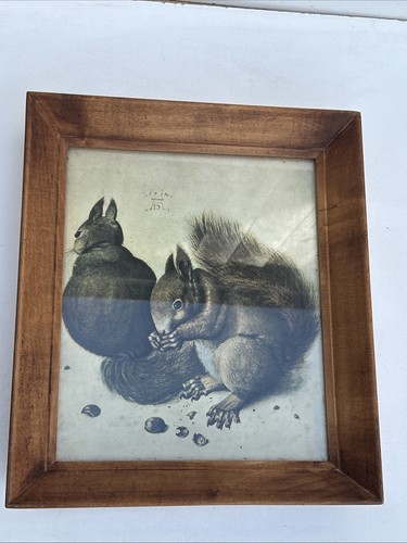 Albrecht durer squirrels - durer,