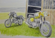 Pair of iconic MZ TS250