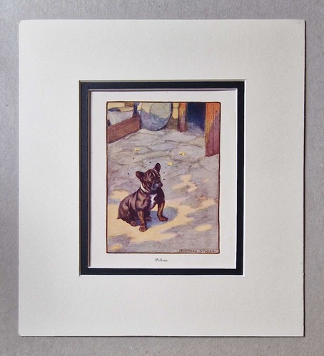 Stokes pelleas my dog - pelleas,