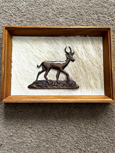Framed springbok copper plaque - framed,