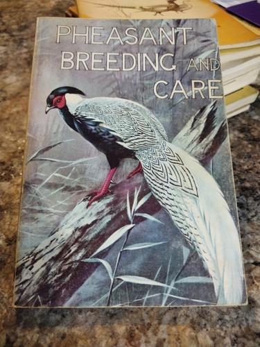 Pheasant breeding and care - breeding,