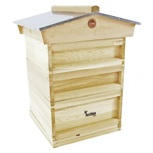 National pine beehive - pine, starter