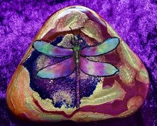 STUNNING Hand Painted Colourful Stone/Rock, Garden “Dragonfly” 