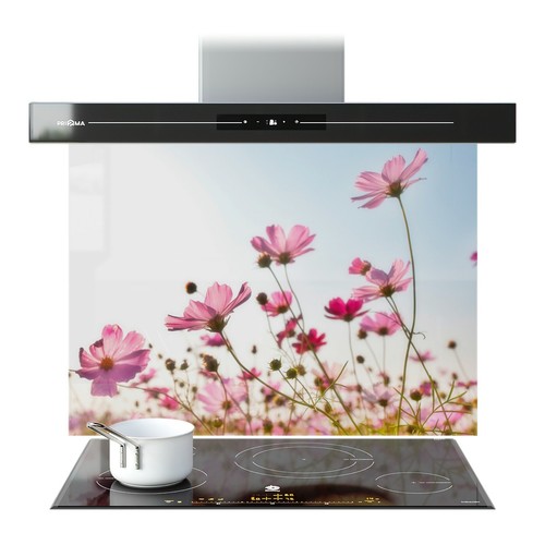 Kitchen glass splashback - glass,