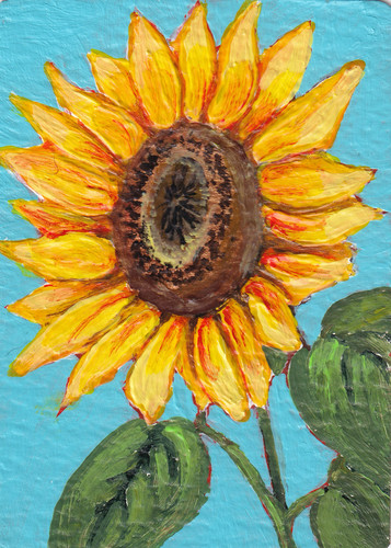 Original aceo sunflower - original,
