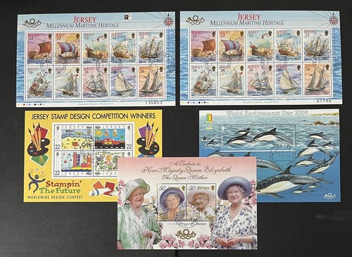 Jersey 2009 fine - jersey, used