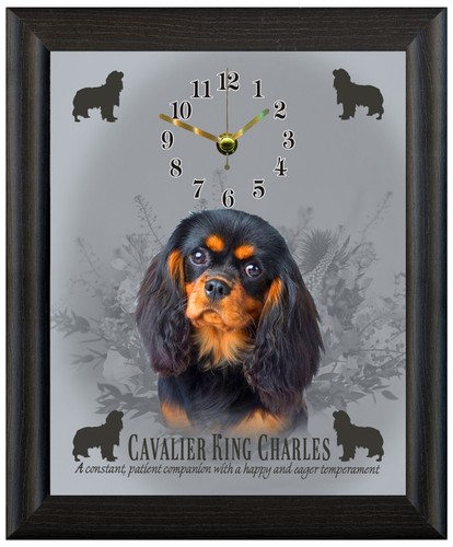Cavalier king charles black - , &