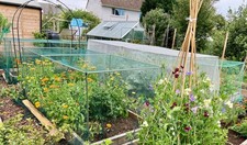 Vegetable fruit cages with - vegetable,