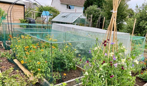 Vegetable fruit cages with - vegetable,