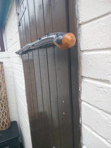 Irish blackthorn stick 37 - ,