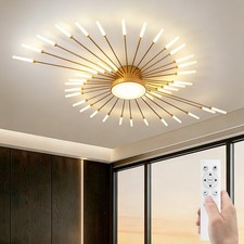 LED Ceiling Light Country