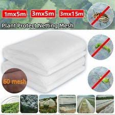 Vegetable crop protection - crop,