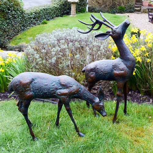 Lovely pair deer garden - lovely, of