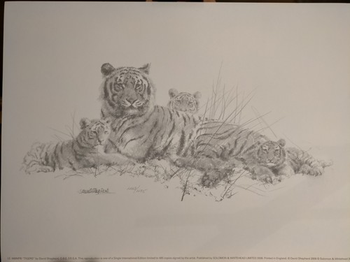 David shepherd tigers pencil - david,