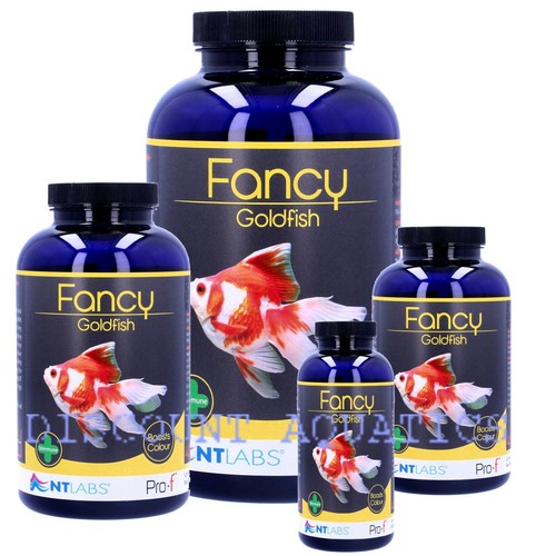 Labs pro fancy goldfish - nt,