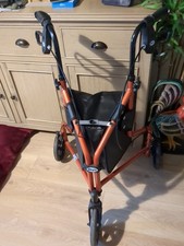 Tri Walker Three-Wheel