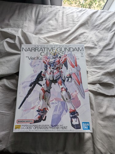 100 9 c narrative - rx-9/c,
