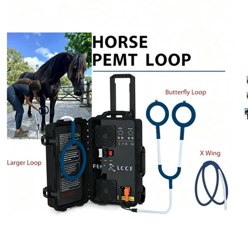 Equine pemf pmst physio - pemf,