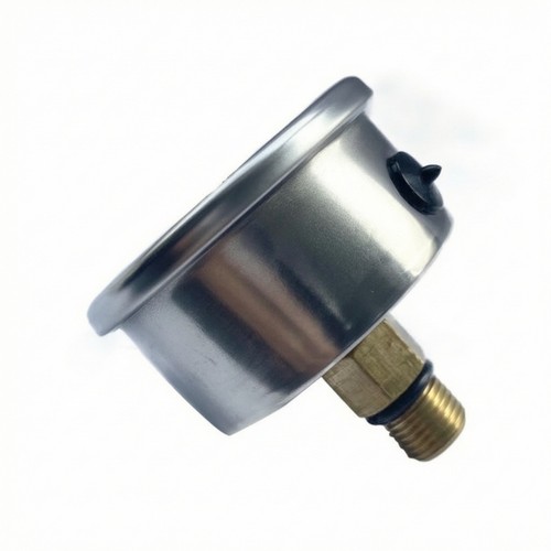 Pool pressure gauge stainless - pressure,