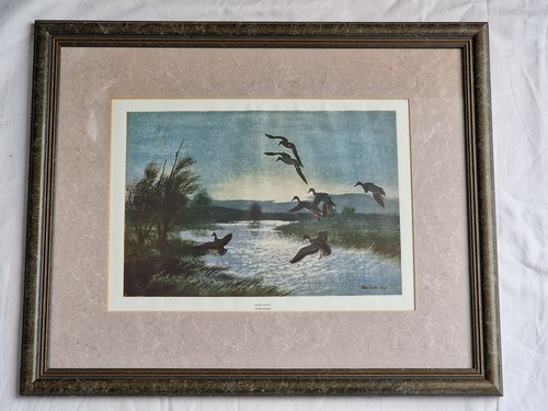 Vintage peter scott - peter,