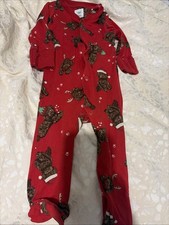 Chelsea Peers Dog Christmas