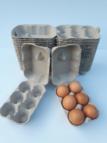 30xnew plain egg - plain,