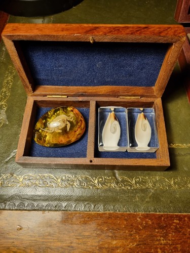 Vintage specimen box resin - box, set