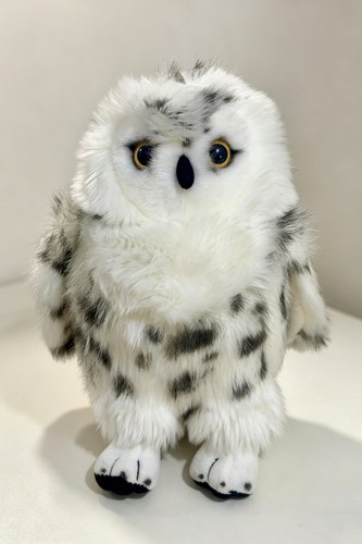 Realistic wizard snowy - realistic, owl