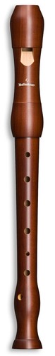 Mollenhauer 1003 student - 1003, d