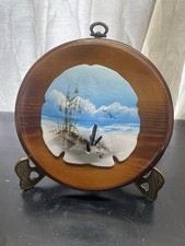 Sand Dollar Seashell on Wood